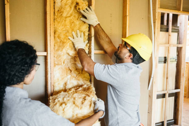 Best Insulation Removal  in Glenwood Landing, NY